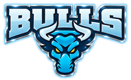 AUM Bulls